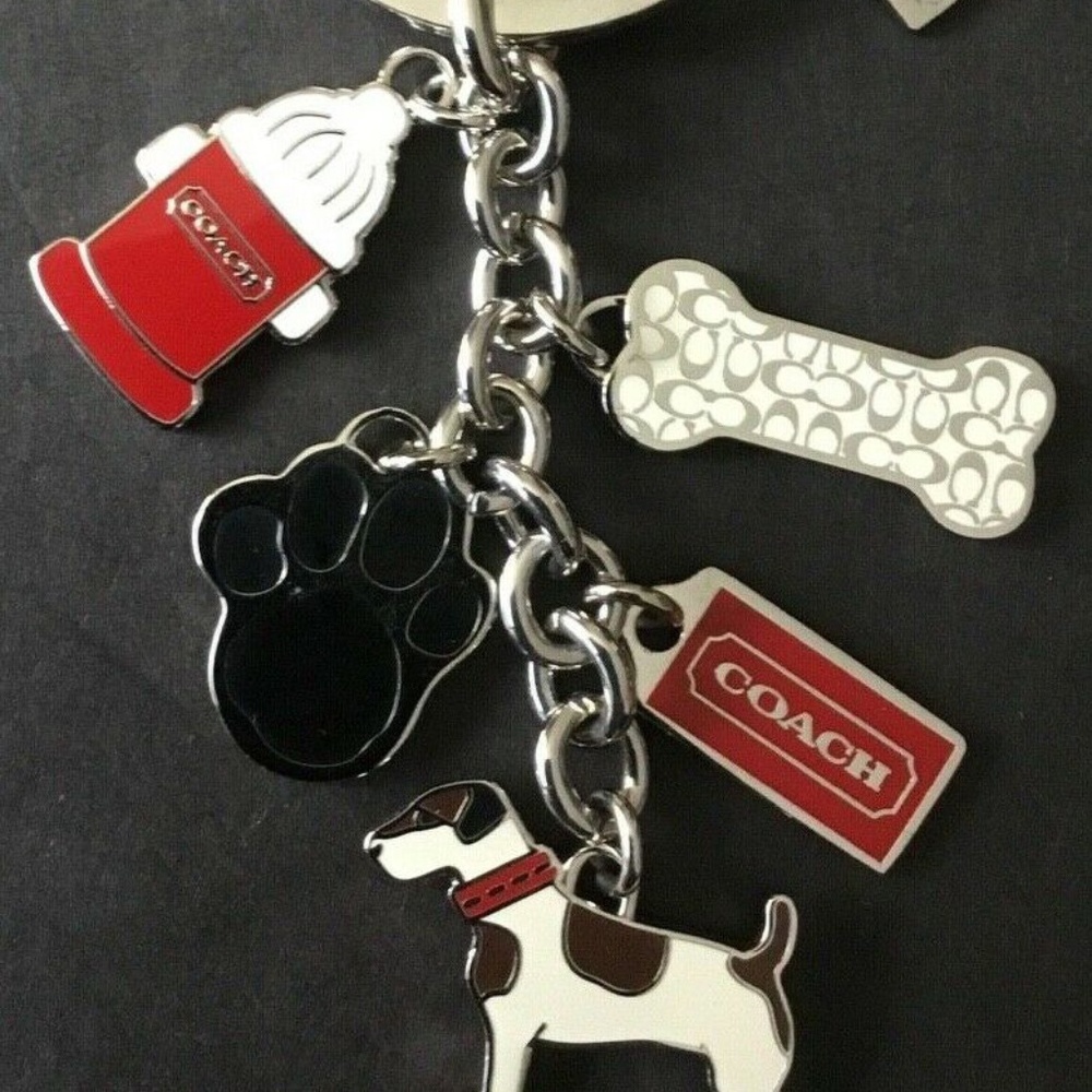Coach Dog Key Chain